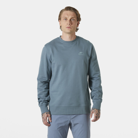 Bluza męska HELLY HANSEN NORD GRAPHIC CREW SWEATSHIRT 62976 601